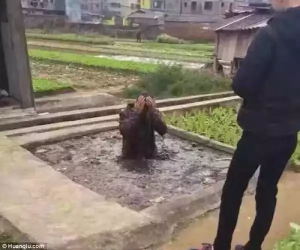 Omg! See How Angry Villagers Humiliated and Disgraced a Dog Thief (Photos)